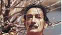 Dalí Galu nadevše miloval, dokonce financoval její dárky milencům