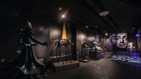 Prostor muzea navozuje tajuplnou atmosféru, v níž známé tvary dostávají novou podobu, jak jsme u Dalího zvyklí.