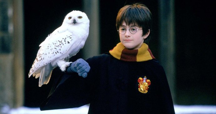 Harry Potter a Kámen mudrců: Až do svých jedenáctých narozenin si o sobě Harry myslel, že je jen obyčejný chlapec. Pak ale dostal soví poštou dopis, kterým byl zván ke studiu na prestižní soukromé Škole čar a kouzel v Bradavicích, a jeho život se rázem proměnil.