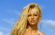 Pamela Anderson Pamela Anderson