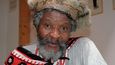 Jihoafrický šaman Percy Nditembile Konqobe