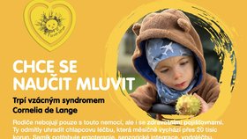 Pomoct Samíkovi a jeho rodině můžete pomocí organizace Život dětem