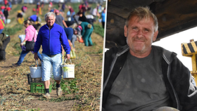 Farmář (54) nabízel lidem zeleninu za ceny z říše snů, ti mu ji kradli a prchali bez placení: Nechyběly ani výhrůžky násilím!