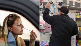 Samotesty začíná prodávat i Albert a Billa, Makro za týden prodalo 23 tisíc testů