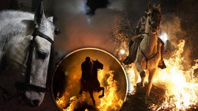 Při festivalu Luminaries skákají odvážní lidé na koních ohněm.