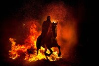 Jezdci apokalypsy: Ohnivé peklo na počest zvířat