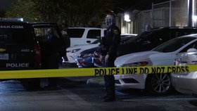 Maminka v americkém Houstonu o Vánocích přišla o dvě děti najednou. Dceru jí zastřelil její přítel a syna pak našli mrtvého jen pár dní nato.