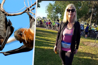 Turistku pokousal obří netopýr: Chytila smrtelný lysavirus, lékaři se ji snaží zachránit