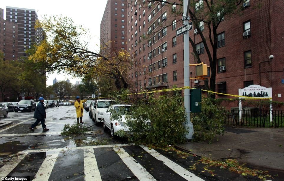 Pro Newyorčany bylo během řádění superbouře Sandy zvláště nebezpečné padání stromů a větví