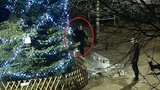 Ledové sáně dělaly v Plzni radost jen krátce: Zničil je vandal! Hledá ho policie
