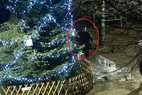 Ledové sáně dělaly v Plzni radost jen krátce: Zničil je vandal! Hledá ho policie
