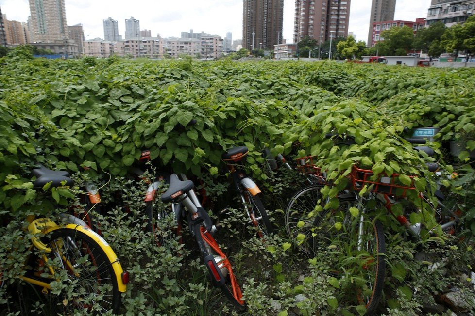 Z parkoviště na periferii Šanghaje je cyklohřbitov. Končí tu kola, která byla ve městě zaparkována mimo vyhrazená stanoviště.