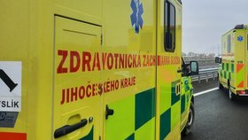 Chtěl pomoci, skončil v kritickém stavu: Řidič pomáhal u srážky s divočákem, srazilo ho auto