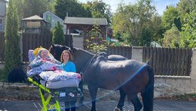 Lenka se díky Sanitce přání setkala s rodinou a poobědvala s koněm.