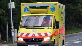 ilustrační foto Čtyřletý chlapeček spadl na Slovensku pod sekačku, v kritickém stavu leží v nemocnici