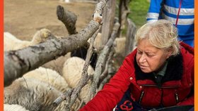 Sanitka splněných snů dopřála Stáně z hospice poslední výlet.