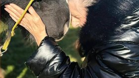 Nemocná Hana ztratila zrak, k milovaným koním ji vzala Sanitka splněných snů.