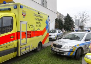 Záchranáři a policisté zasahovali v Praze kvůli dítěti, které vypadlo z okna. (iluastrační foto)