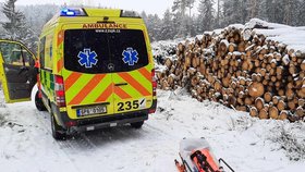 Zachránit zraněného seniora (71) z lesa pomáhali záchranářům lesní dělníci.