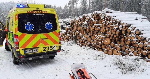 Zachránit zraněného seniora (71) z lesa pomáhali záchranářům lesní dělníci.