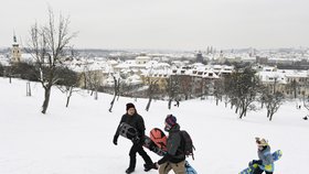 Pražané v úterý 9. února vyrazili na Petřín užít si sněhu. Málokdo přitom ví, že v některých místech nejen Petřína, ale i celé Prahy, se lyžovat či sáňkovat nesmí. 