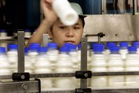 Kontroverzní čínská mlékárna Sanlu v bankrotu