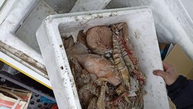 Veterináři v tržnici Sapa odhalili 300 kg nevyhovujících potravin a týrání ryb