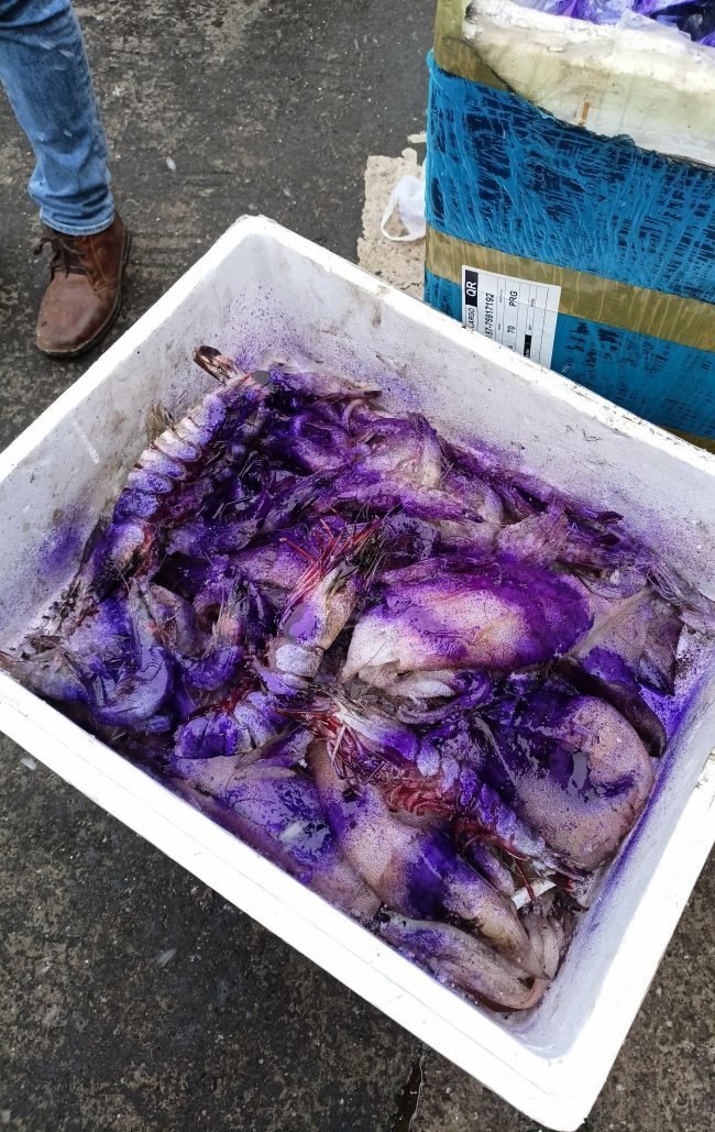 Veterináři v tržnici Sapa odhalili 300 kg nevyhovujících potravin a týrání ryb