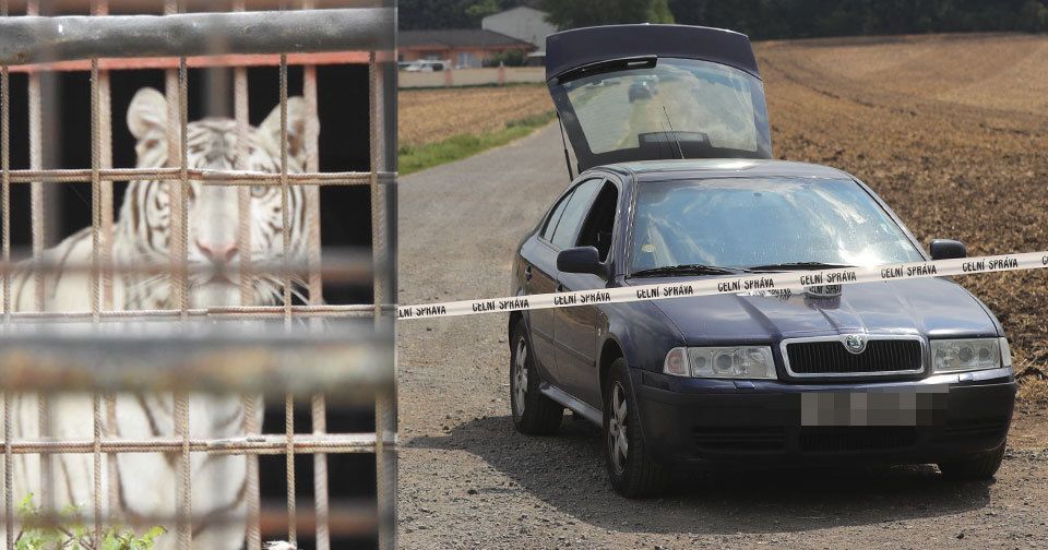 V tržnici Sapa a zooparku Bašť proběhla tehdy razie.