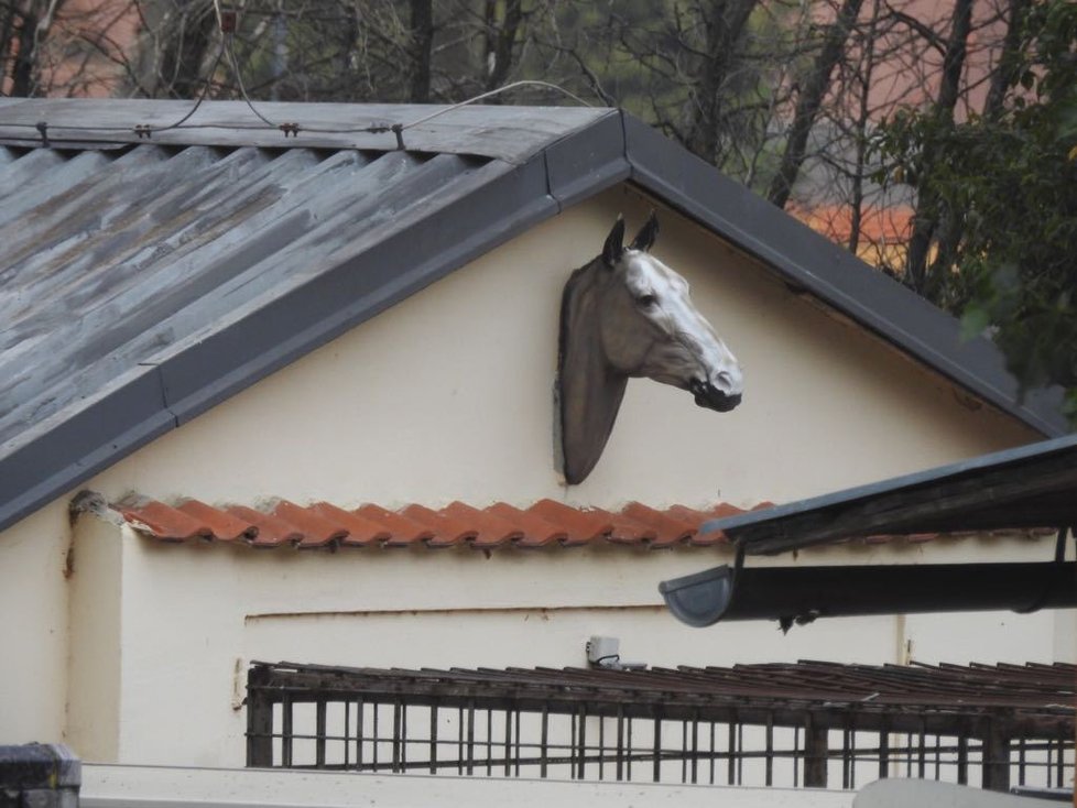 V tržnici Sapa a zooparku Bašť probíhá razie.