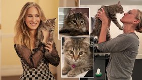 Dojemné gesto Carrie ze Sexu ve městě: Sarah Jessica Parkerová adoptovala svého seriálového mazlíčka!