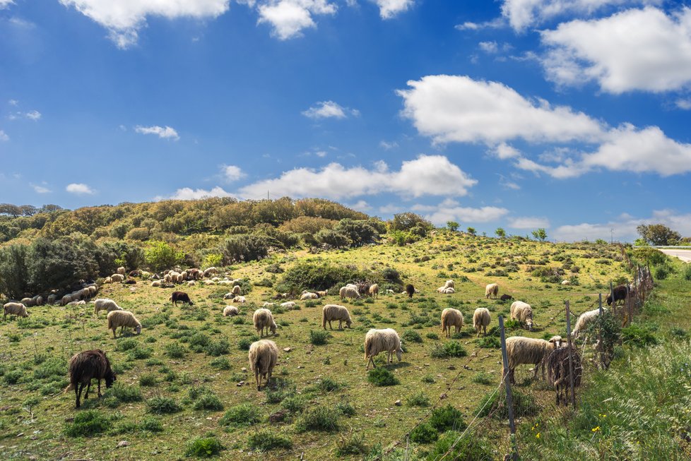 Sardinie je místem nejkrásnějších pláží, prehistorických staveb, skalisek, pracovitých lidí, bohaté přírody i malebných středověkých městeček.