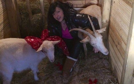 Rezková s kozami Lízou a Bertou, které na Silvestra slavnostně oblékla.