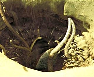 Sarlacc z Hvězdných válek