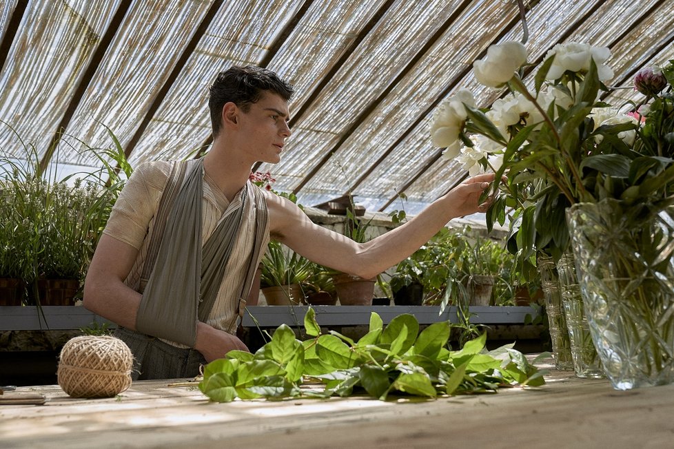 Strhující životopisné drama výjimečného muže obdařeného léčitelskými schopnostmi na pozadí dobových událostí. Příběh je inspirován skutečnými osudy léčitele Jana Mikoláška...