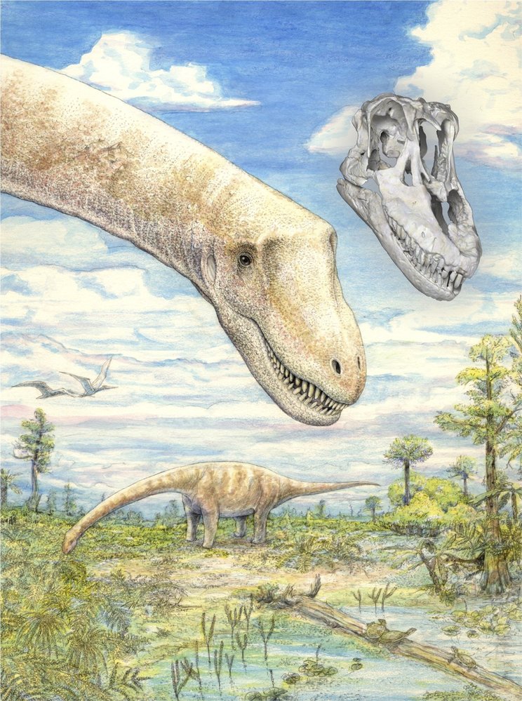 Sarmientosaurus: Titanosaur s jednou z nejlépe zachovaných lebek 