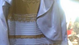Jakou barvu mají tyto šaty?
