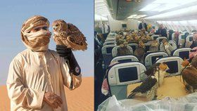 Saudský princ si vzal na palubu letadla netradiční společnost: Koupil letenky svým sokolům