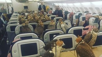 Dovolená v Abú Dhabí: Sokol pronáší mrtvolu do letadla, dcera je sjetá ománskou drogou Dovolená v Abú Dhabí: Sokol pronáší mrtvolu do letadla, dcera je sjetá ománskou drogou