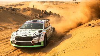 Saúdská rallye 2025 Saúdská rallye 2025