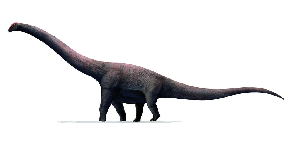 Nejtěžší suchozemský tvor mohl být obří indický sauropod Bruhathkayosaurus matleyi, který žil přibližně 70 milionů let nazpět