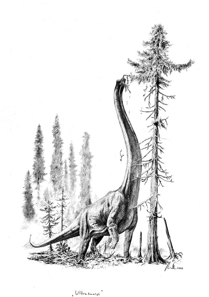 Sauropodní dinosauři byli zdaleka největšími sucho- zemskými živočichy, kteří kdy kráčeli po povrchu naší planety