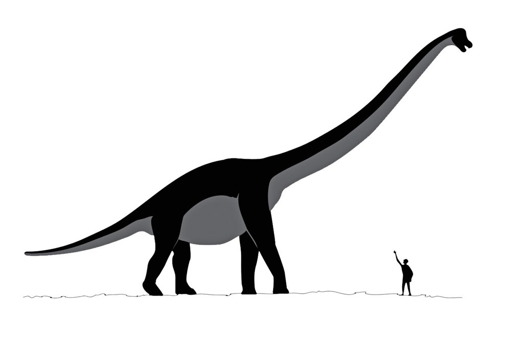 Sauropod somfospondyj Sauroposeidon vážil až 60 tun