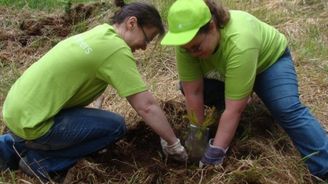 Význam sociálních médií pro CSR projekty roste