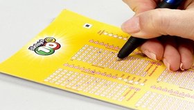 Hlavními loterijními produkty Sazky jsou číselné loterie s nejznámější hrou Sportka.