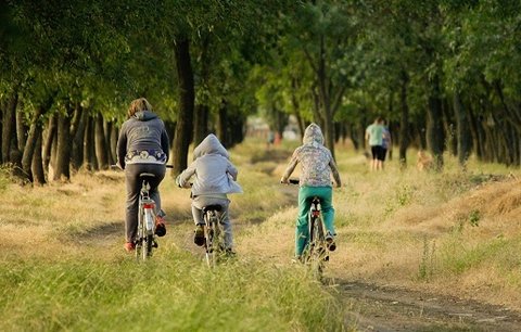 Jak letos Češi strávili léto? Lidé zůstali většinou v Česku a začali se více věnovat sportu