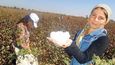 Sběračky bavlny. Uzbekistán využívá ke sklizni bavlny státní zaměstnance. Tyto dvě ženy normálně pracují jako zubařky
