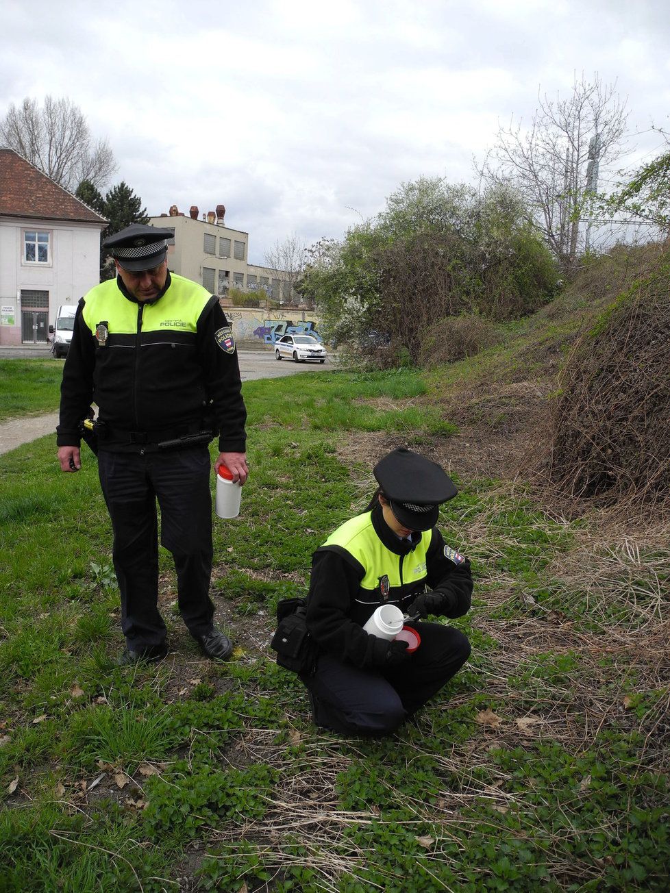 Přibližně dvacet brněnských strážníků vyrazilo ve čtvrtek do ulic, aby z nich sesbírali použité injekční stříkačky a jehly, které tam pohodili narkomani.