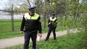 Brněnští strážníci upozorňují, že počet odhozených injekčních jehel každoročně stoupá. Sbírají je proto po městě pravidelně.