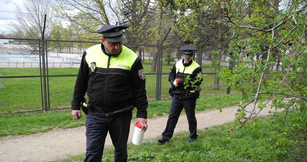 Brněnští strážníci upozorňují na velké množství injekčních stříkaček a jehel v nejrůznějších částech města. Mohou zranit malé děti.